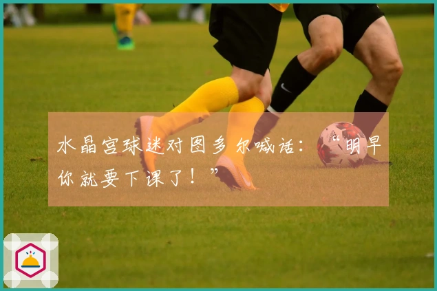 水晶宫球迷对图多尔喊话：“明早你就要下课了！”