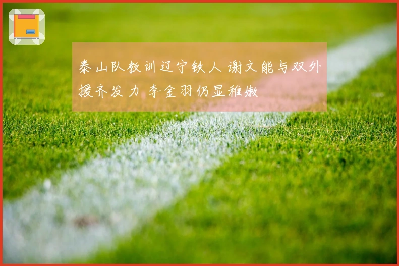 泰山队教训辽宁铁人 谢文能与双外援齐发力 李金羽仍显稚嫩