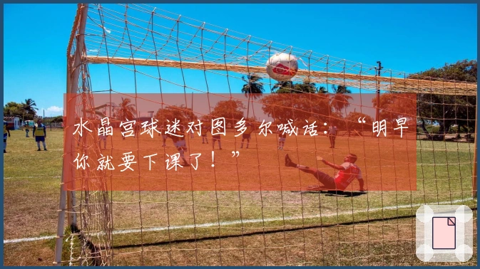 水晶宫球迷对图多尔喊话：“明早你就要下课了！”